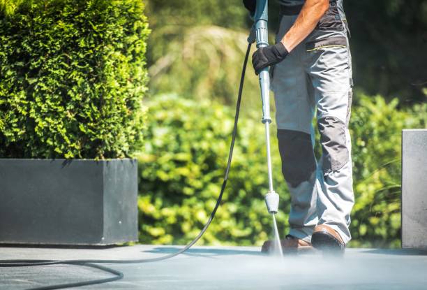 Best Sidewalk and Walkway Cleaning  in Avenal, CA